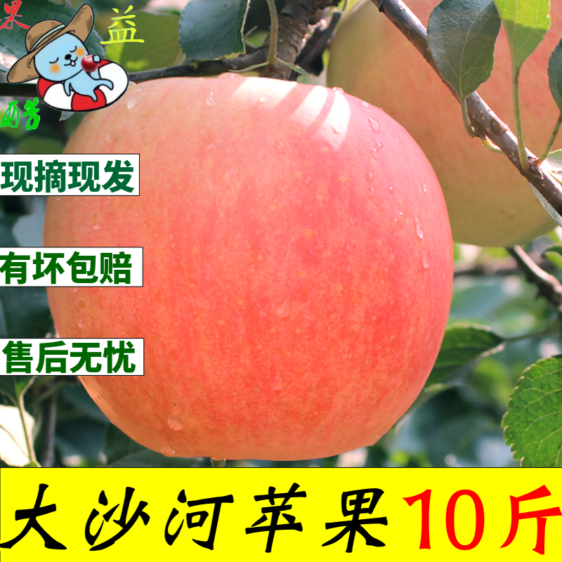 正宗大沙河苹果红富士丑苹果当季新鲜水果现摘现发十斤冰糖心包邮