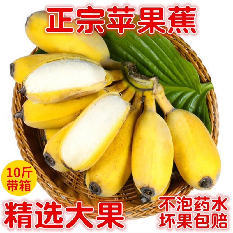 苹果蕉正宗新鲜香蕉10斤水果当季整箱自然熟粉蕉小米蕉海南大芭蕉