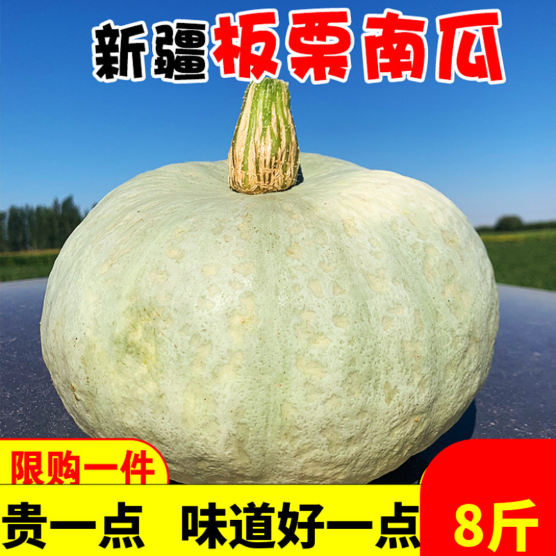 新疆板栗南瓜金丝沙地真贝贝小银板栗味宝宝辅食新鲜蔬菜7-8斤