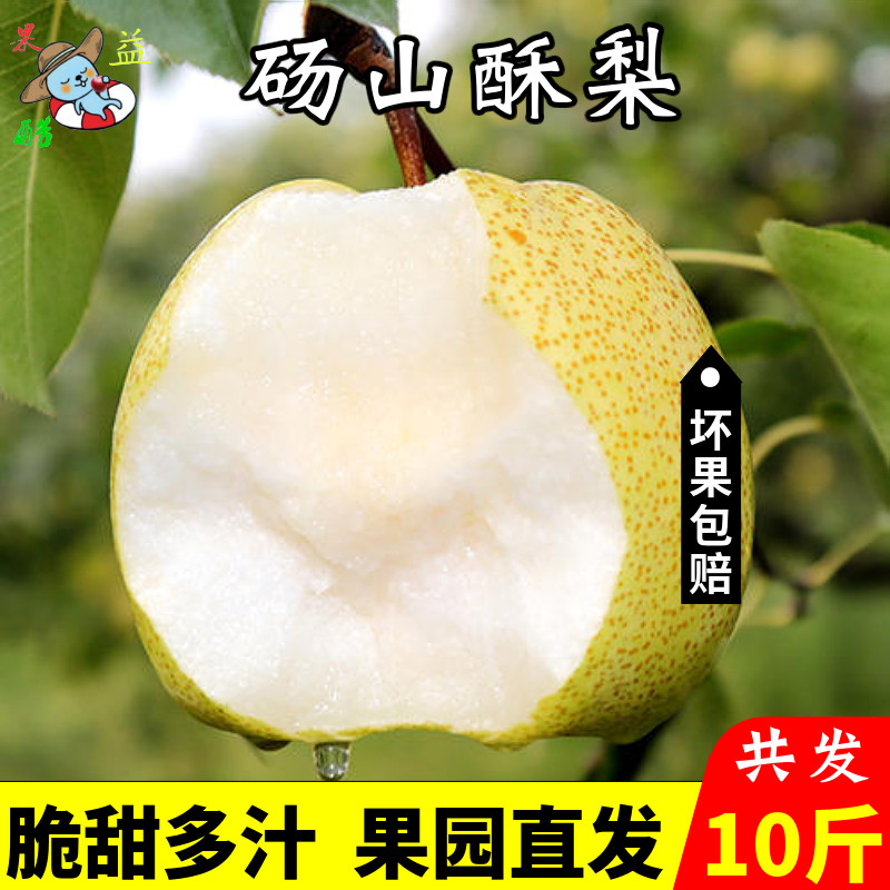 安徽砀山酥梨当应季新鲜水果梨子10斤整箱皇冠雪翠冠香砀山梨包邮