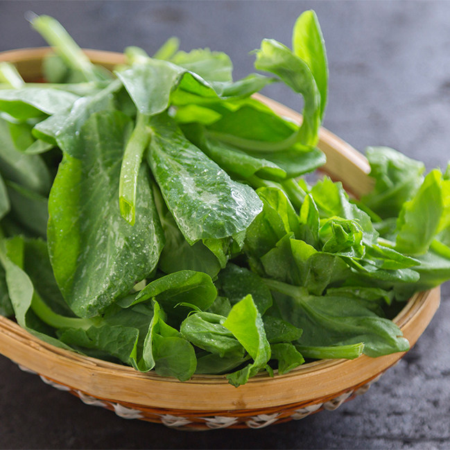 豌豆尖 新鲜豌豆苗碗豆叶豌豆芽豌菜头龙须菜下火锅蔬菜带箱3斤
