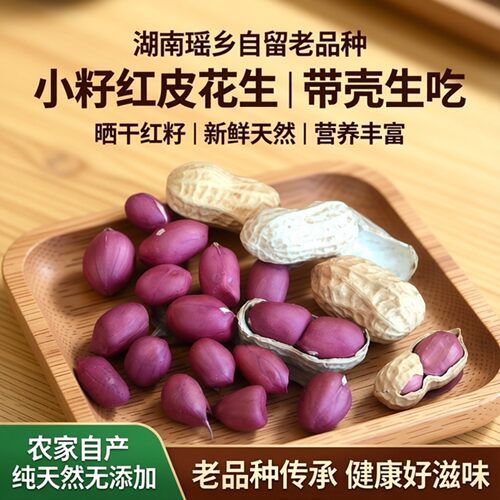 新货小籽红皮花生带壳生晒干富硒红籽花生种子老品种湖南永州湘超