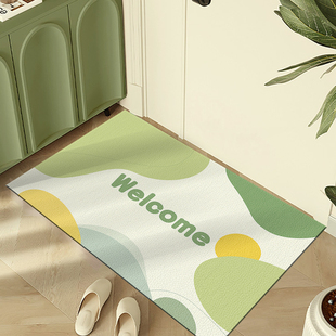 莫兰迪绿色系入户地垫高级感PVC免打理地毯进门玄关免洗可擦门垫