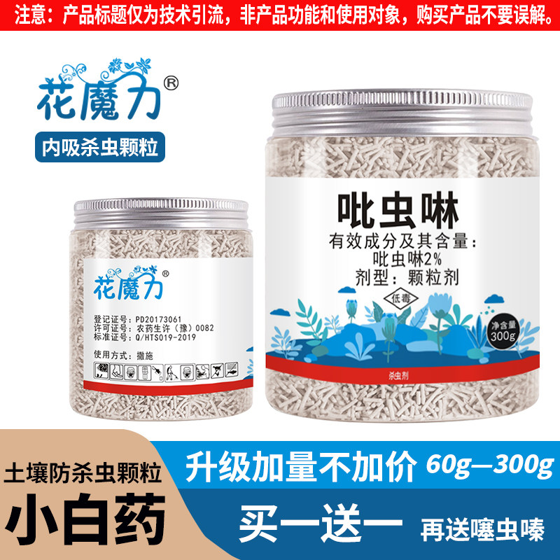 多肉小白药花卉植物土壤介壳虫