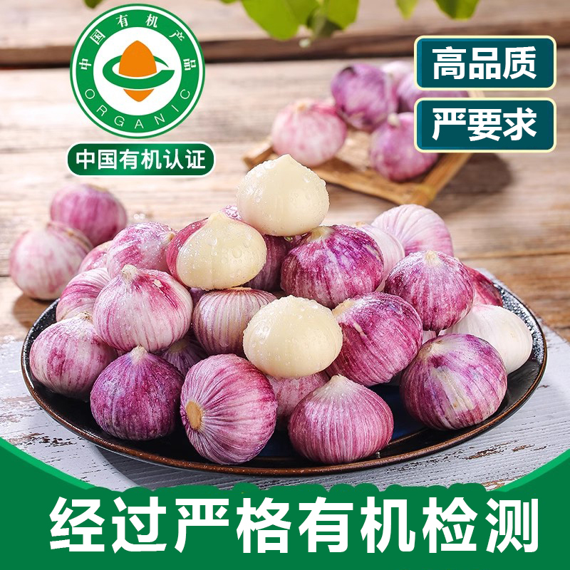 云南有机紫皮独蒜农家蔬菜高原