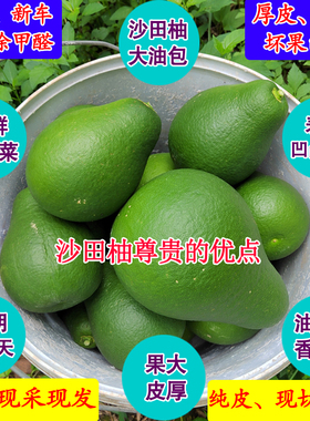 新鲜柚子皮去味除甲醛50斤绿色小柚子黄色柚子皮祛味神器厚皮柚子