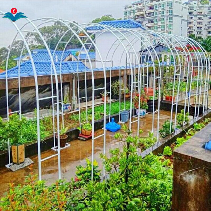 花架 DAIM花园拱门花架 虹越月季铁线莲爬藤植物支架拱形户外花门|ruв категории доставка цветов/цветок моделирования/растения садоводства, ваза/цветок/горшок/цветок (новый), цветок - от Buy2taobao.com для оказания профессиональной услуги покупки агента Taobao