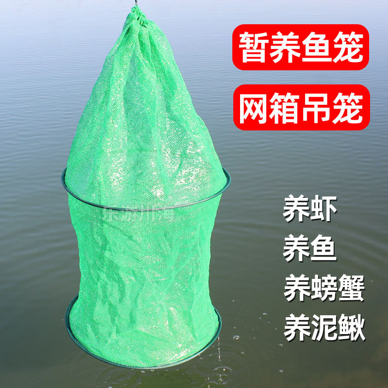 小鱼箱暂养活鱼护加厚新鲜