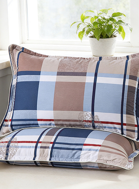 纯棉枕头套一对装全棉枕套单个48cmx74cm学生宿舍拉链枕芯套40x60