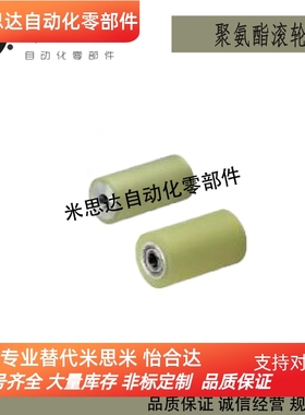 ROERUS40/50/60/80/100-8/10/12/15/20/25/30-70/90-T5/T10滚轮