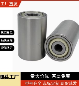 QAC01/02/21/41-20/25/30/3/30-L40-L50不锈钢带轴承传动滚轮