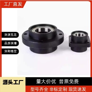 BGRZ6906ZZ-50 轴承座组件 带扣环双轴承嵌入型20 3025 35