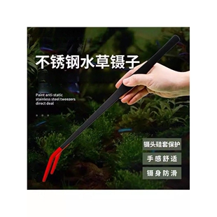 六角恐龙鱼喂食镊子专用蝾螈喂食器大号夹工具鱼缸新手神器用品