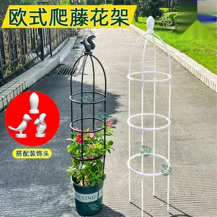 花架爬藤架藤架铁线莲支架铁艺月季阳台攀爬植物架子杆户外支撑架