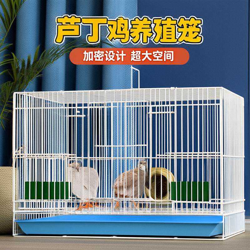 铁笼鸟笼子鹦鹉专用笼子鸽子笼
