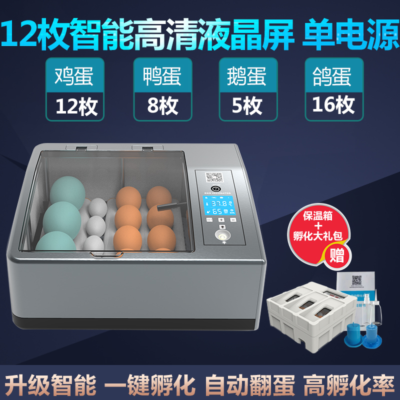자동부화기