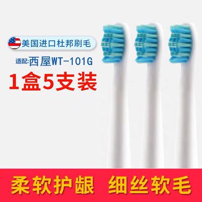 适用Westinghouse 美国西屋电动牙刷头  WT-101G/101B替换头