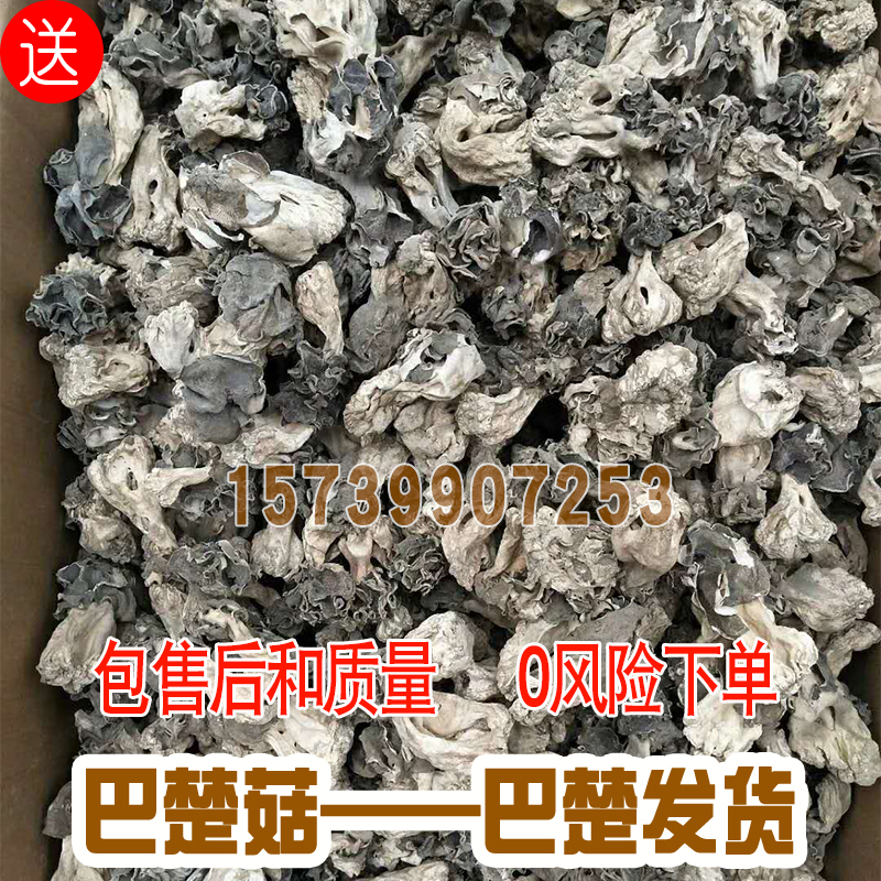 新鲜巴楚菇100g 巴楚野生蘑菇干食用菌香菇胡杨林皱柄羊肚菌 粮油调味/速食/干货/烘焙 香菇类 原图主图