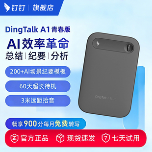 钉钉A1 DingTalk AI青春款智能录音笔 会议纪要 分析总结实时转写