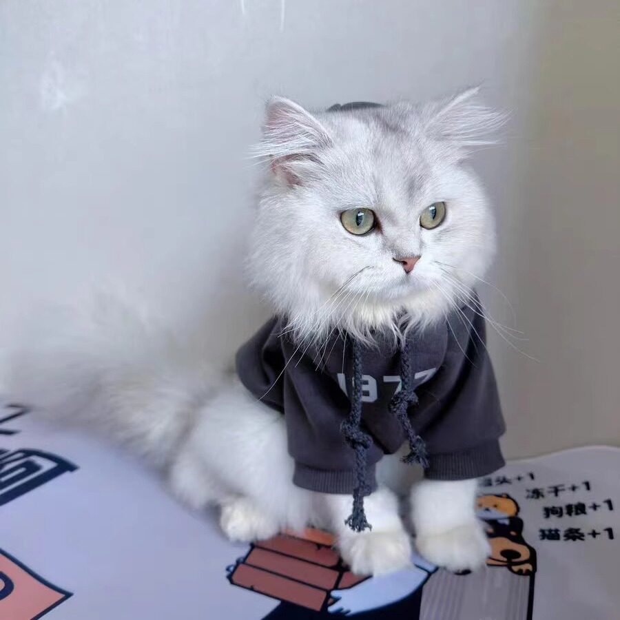 宠物衣服秋冬装猫咪洋气