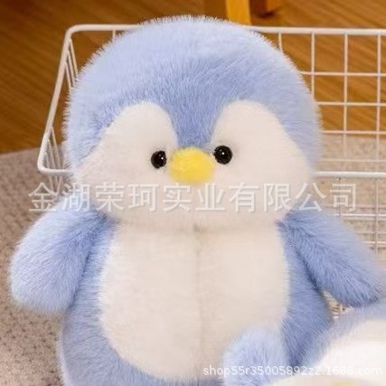 小海豹秋冬季室内居家月