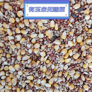 10斤鸽粮玉米无豌豆营养鸽子粮信鸽赛鸽幼鸽观赏鸽鸽子粮鸽料包邮