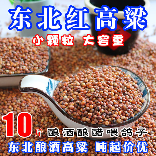 红高粱去壳带皮新酿酒喂鸽子