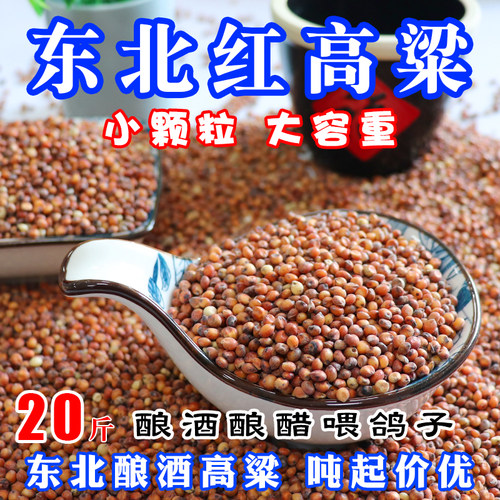 0五谷杂粮酿醋喂鸽子东北高粱