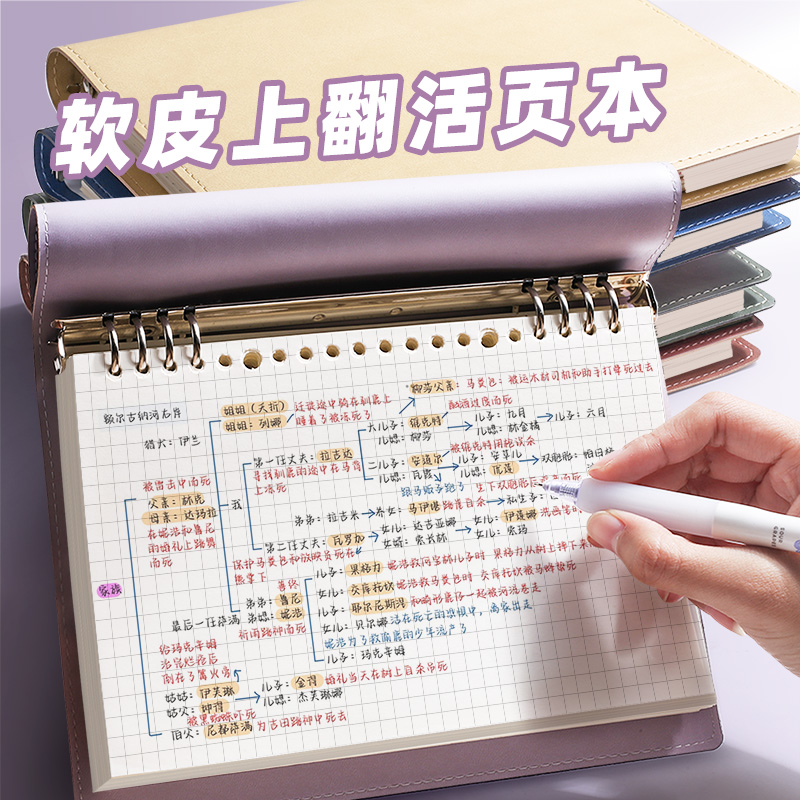 高颜值B5思维导图上翻皮面活页本