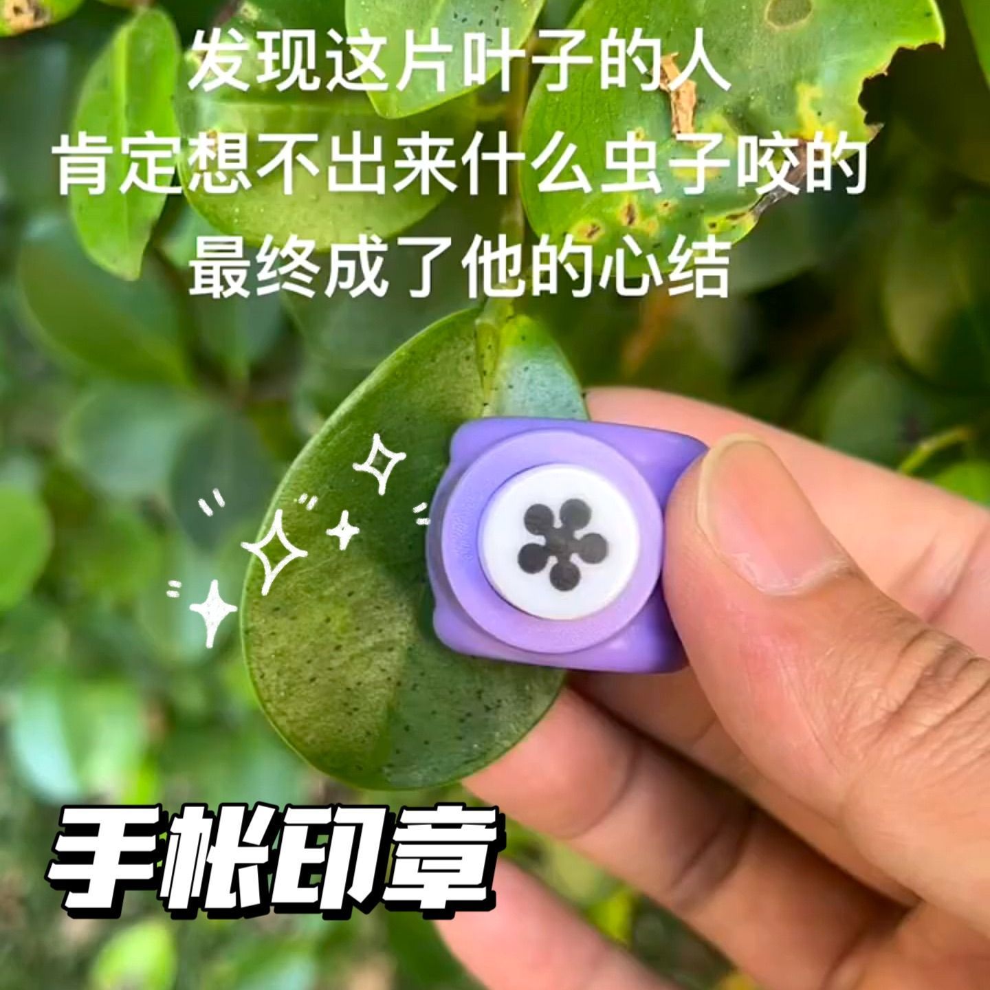 可得优迷你DIY手工压花器