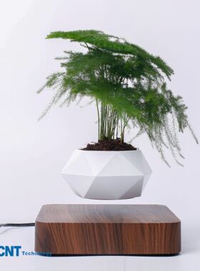 客厅家居摆件网红创意工艺品植物盆景批发磁悬浮盆栽花盆绿植