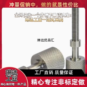 调整螺栓AJSTM8 10 12 16-20 30 40 50 60 70 80 90 100 110 120