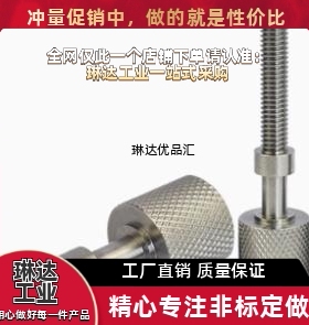 调整螺栓AJSTM8 10 12 16-20 30 40 50 60 70 80 90 100 110 120