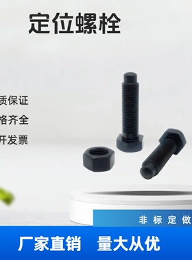 PBE21细牙定位螺栓螺纹前端R型 STCA4/5/6-15/20/25/30/35/40/50