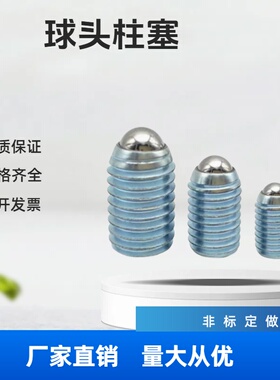 ZAC02碳钢镀锌玻珠螺丝重载型球头柱塞 BPM3/4/5/6/8/10/12/16/20