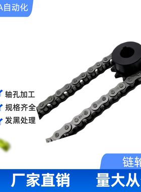 链轮50B/SP50B24-N-20/22/24/25/28/30/32/35/38/40/SP50B24-N-45