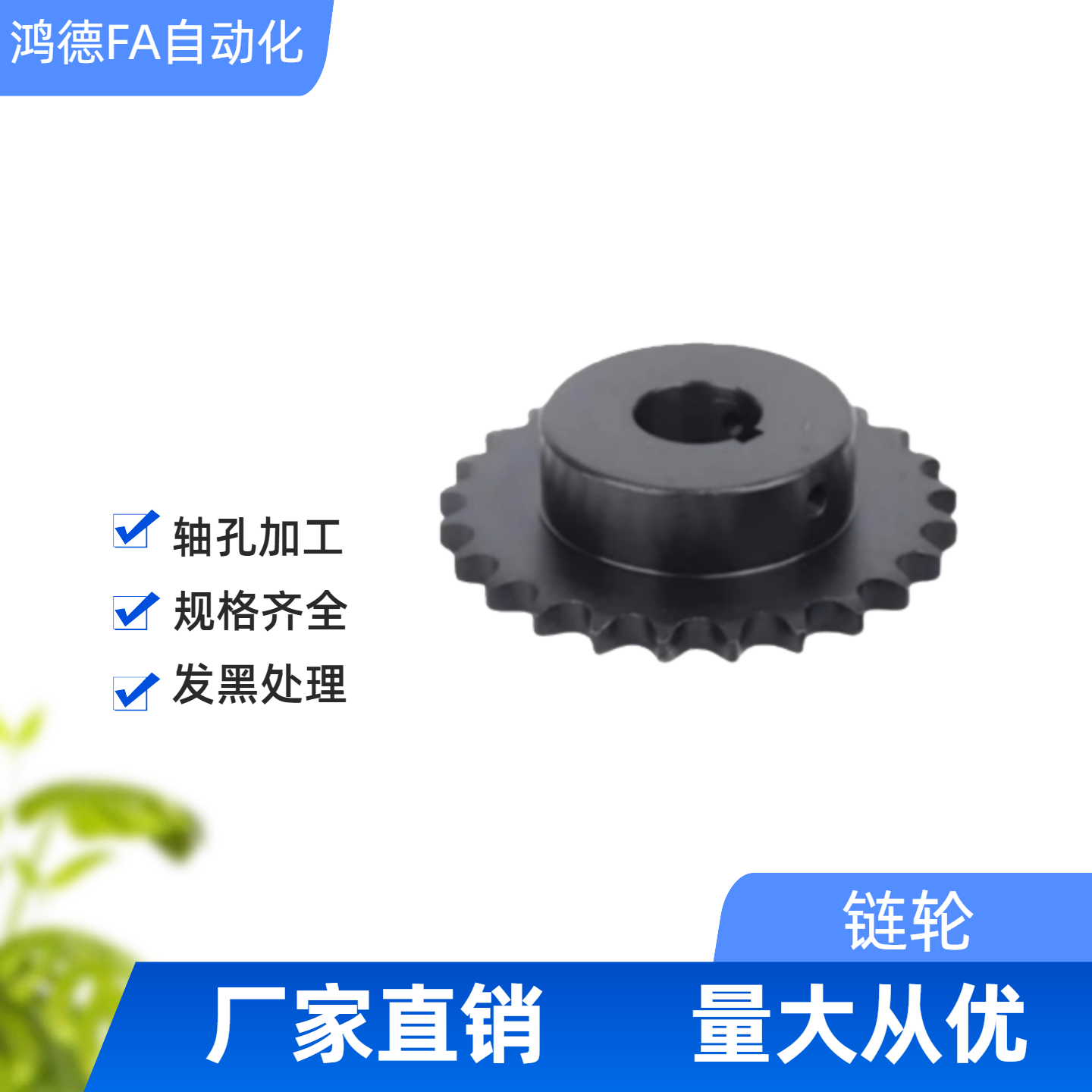 链轮 50B SP50B11-N-15/16/17/18/19/20/22/24/25