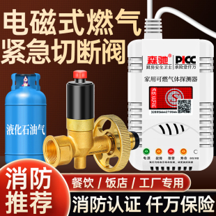 燃气紧急切断阀煤气钢瓶机械手液化气泄漏报警器安全自闭阀 电磁式