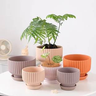 浮雕条纹红陶盆素烧透气矮盆庭院阳台简约大口径多肉花盆特价清仓