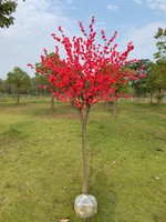 庭院地栽原生高杆骨里红梅树苗绿梅花苗冬季开花卉植物浓香耐寒树