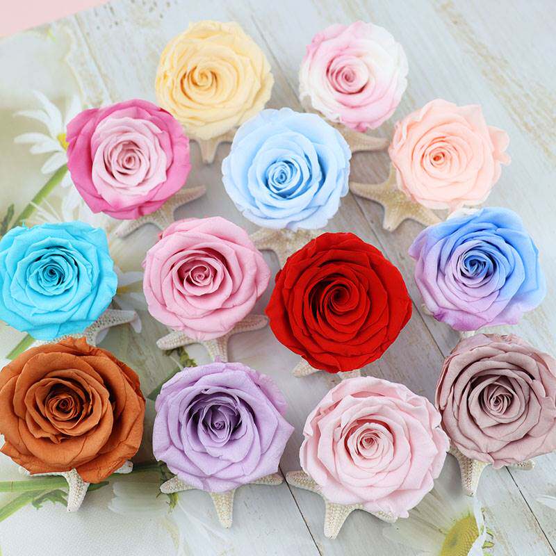 花掌柜永生花aaa级真玫瑰花材4-5cm保鲜diy手工生日礼盒车挂材料