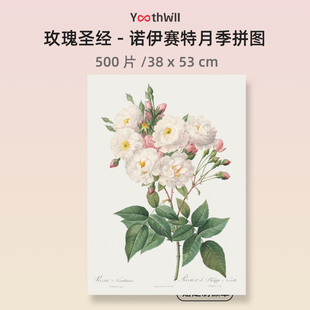 YouthWill 玫瑰圣经拼图500片 名画情人节礼物益智 诺伊塞特月季