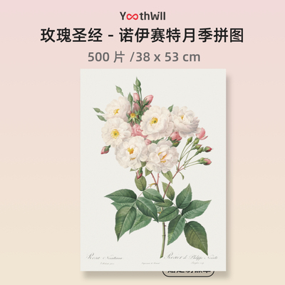 玫瑰拼图礼物YouthWill高难度