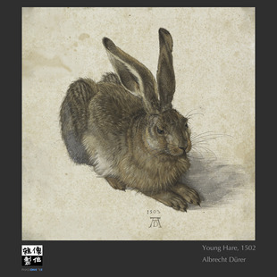 miscLab 丢勒 Young Hare 野兔 版画装饰画 高精度艺术品复制
