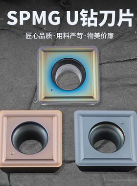 刃天下 SPMG050204DG/060204/07T308/090408-DG暴力喷水数控刀片