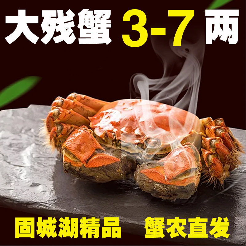 大残蟹3两4两固城湖大闸蟹净重