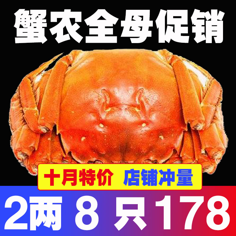 蟹农自产特价净重新鲜活蟹现货高淳固城湖大闸蟹2两全母