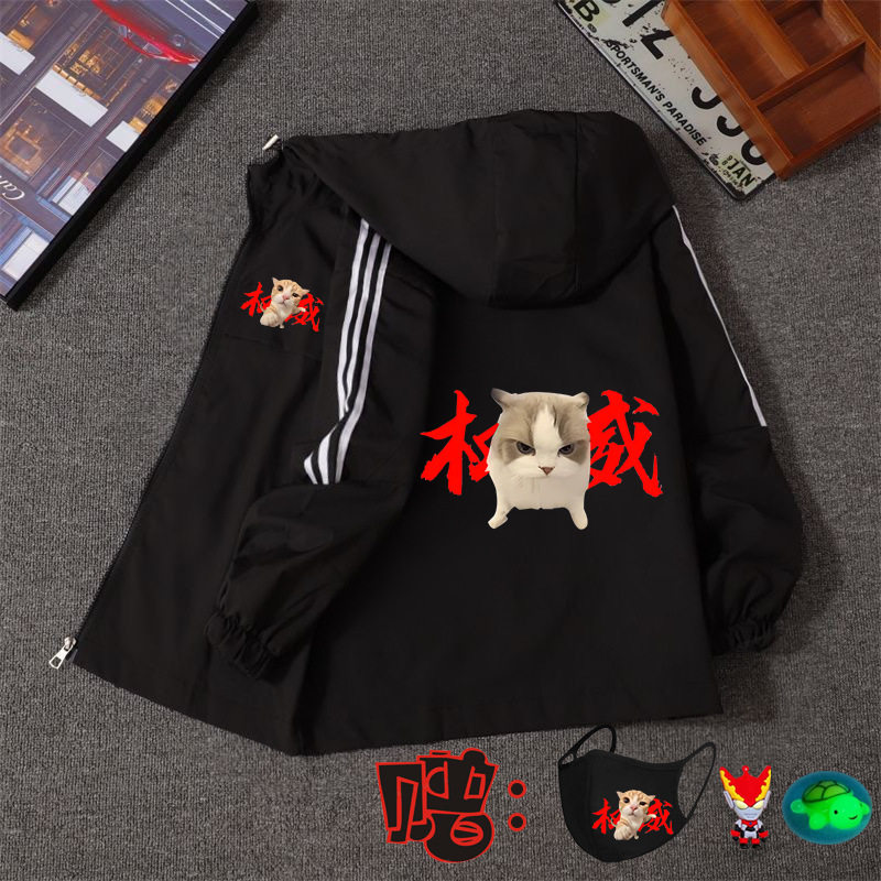 春秋季拳头小猫权威表情