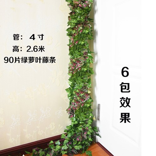 绿萝假植物常青藤装饰包下水管道