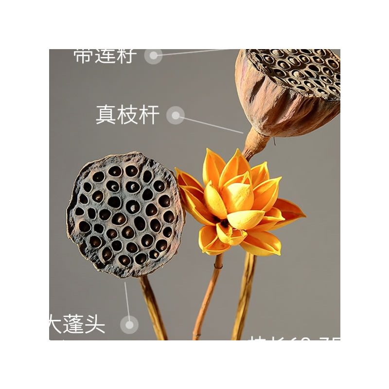 天然干花仿真家居装饰摆件莲蓬